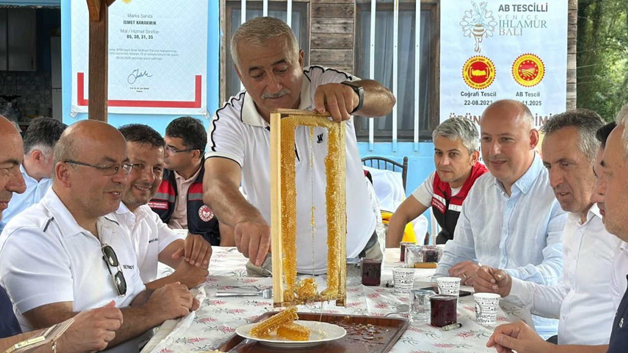 Türkiye’nin en özel balı kovanlardan çıktı: Fiyatı dudak uçuklattı